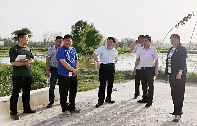 濮阳县委统战部领导到海通乡调研指导乡村振兴和脱贫