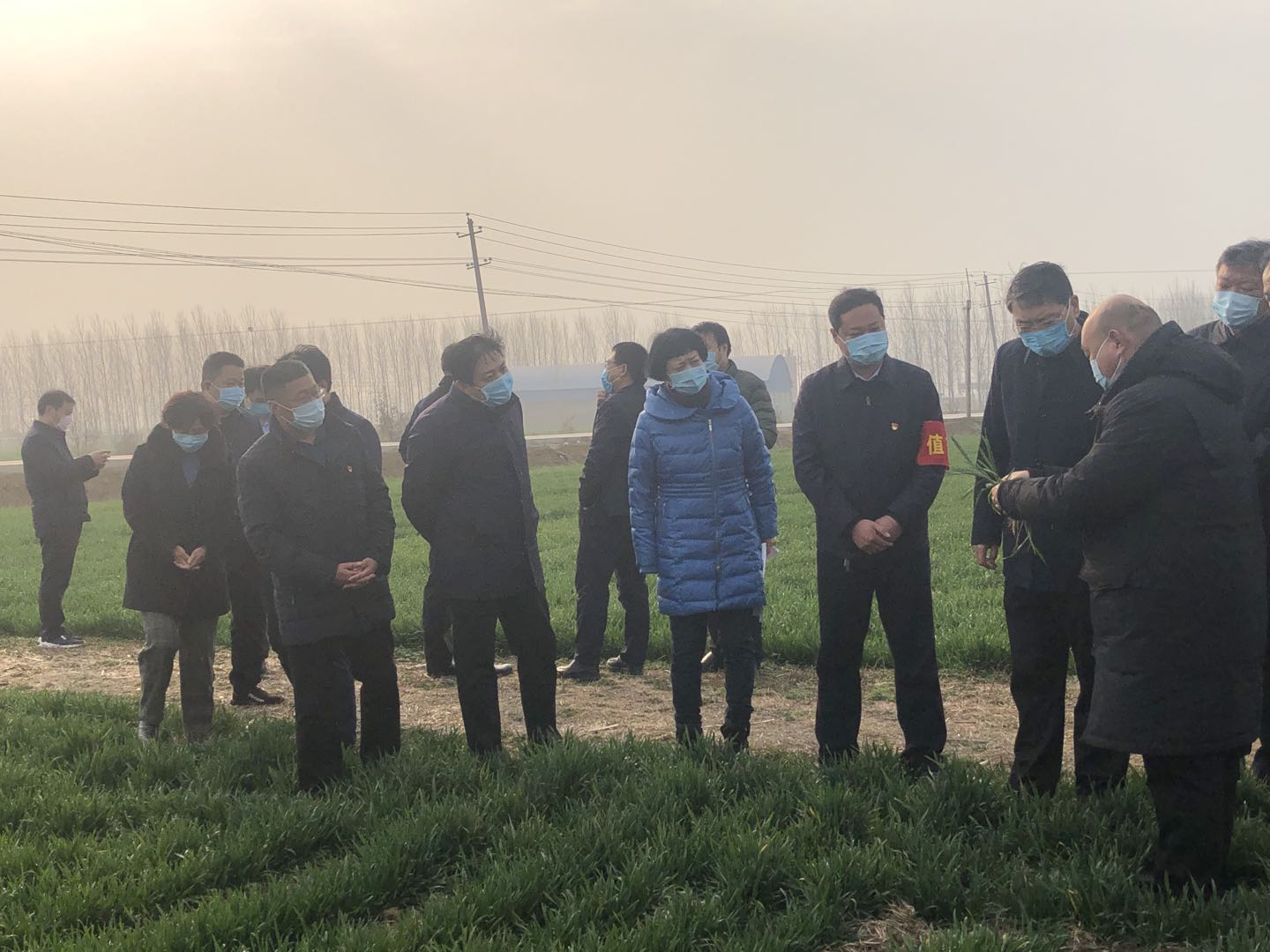 发挥优势勇担当 凝心聚力战疫情 河南省党外知识分子联谊会抗击疫情综述