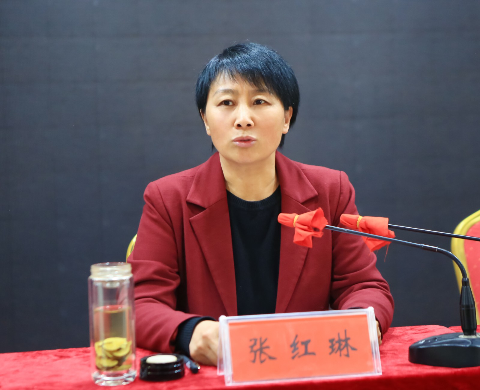 张红琳强调:要加强新形势下新联会建设,充分发挥其职能作用,推动新的